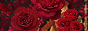 Red For Roseline GIF